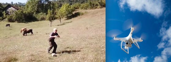 Panik: Der Landwirt hat das unbekannte Flugobjekt entdeckt und zückt das Seil ...