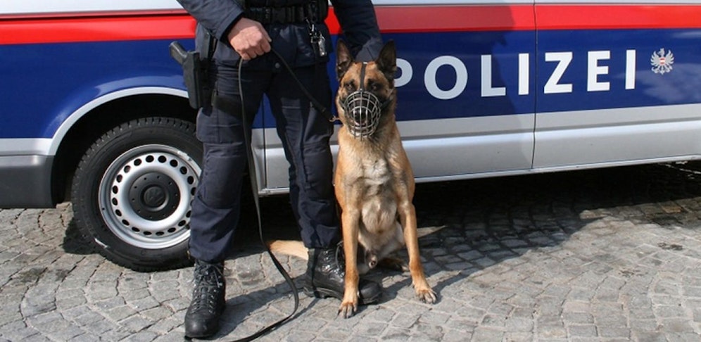 Ein Sprengmittelspürhund durchsuchte das herrenlose Paket