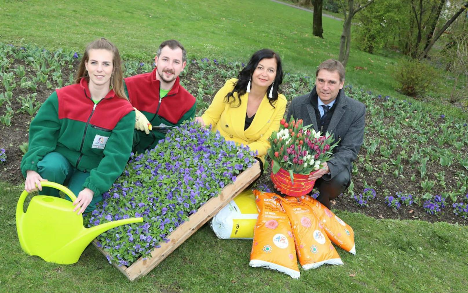 Über 775.000 Blumen holen den Frühling in die Stadt (Umweltstadträtin Ulli Sima mit Stadtgartendirektor Rainer Weisgram und zwei Gärtnern der MA42). (c) PID/Christian Fürthner