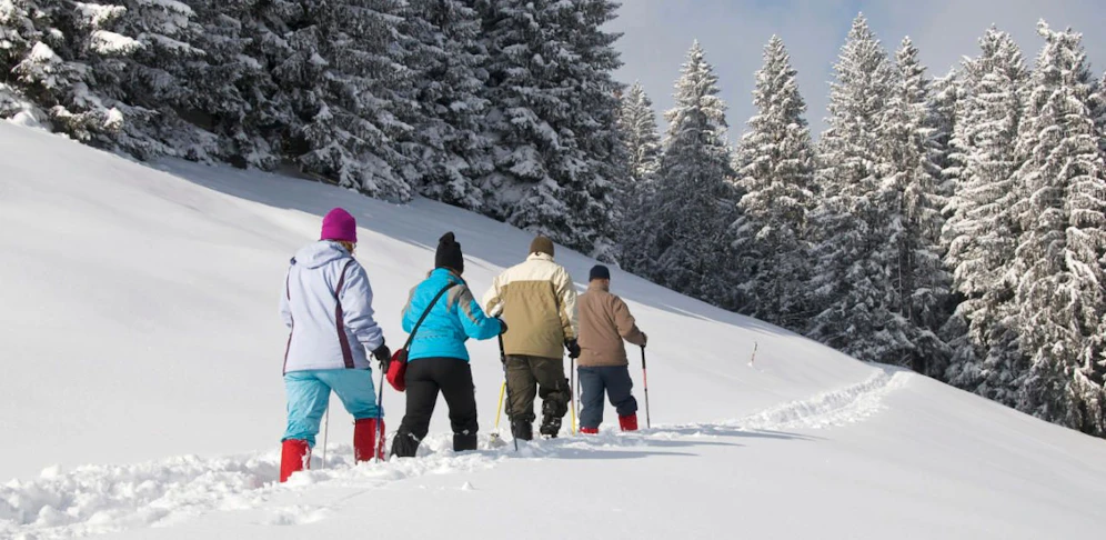 Vier Schneeschuhwanderer mussten gerettet werden.