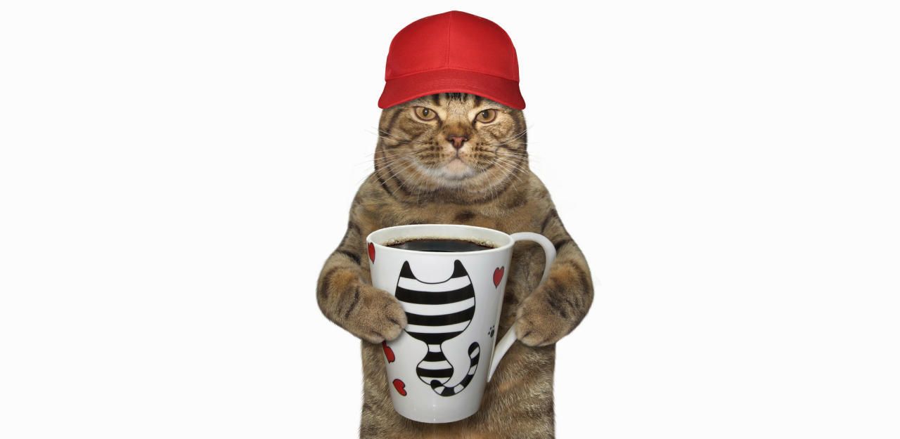 Heute.at - Trinken Sie auch aus einer lustigen Tasse?