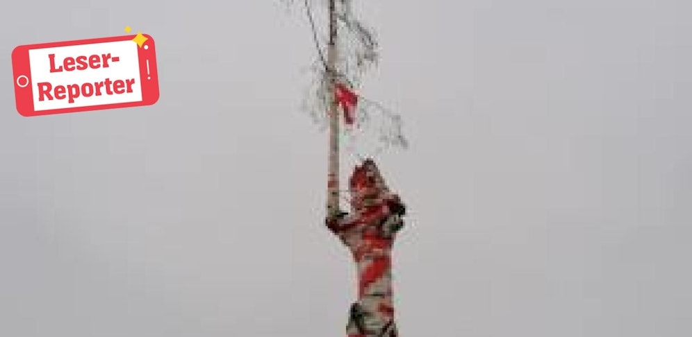 Einsamer Maibaum in Süßenbach