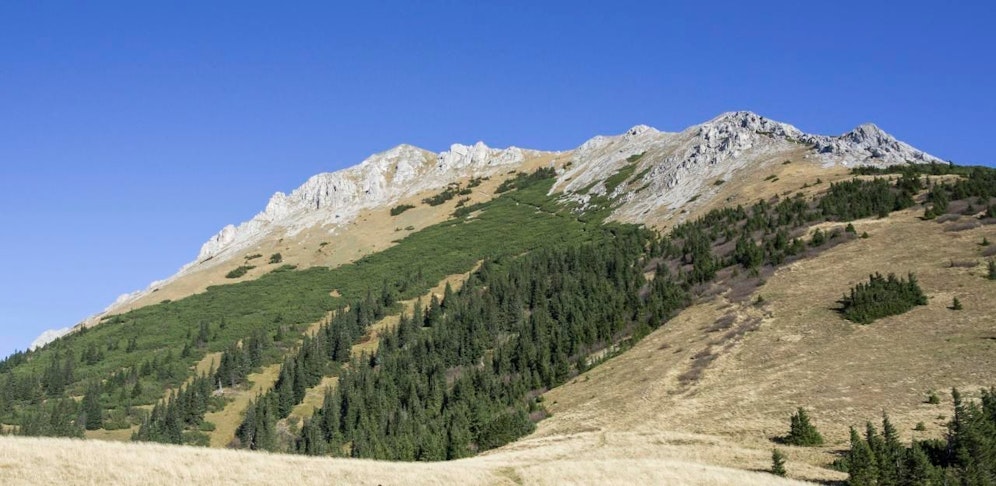 Der Hund wurde wohlauf ins Tal gebracht.