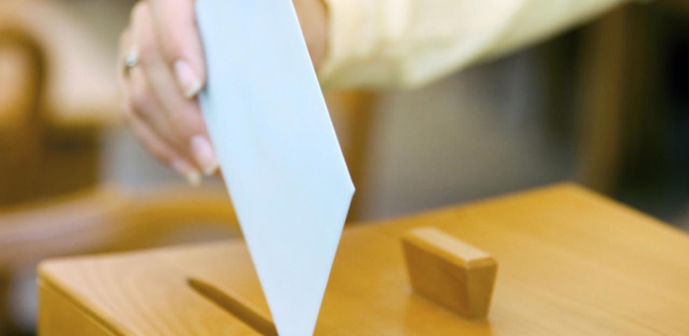 Neben den Altparteien stellen sich heuer einige neue Listen zur Wahl.