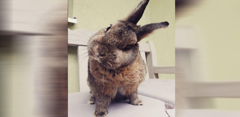 Was gibt's da so zu schauen?