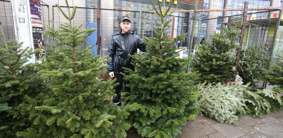 Verkäufer Manuel (26) fehlen Bäume.