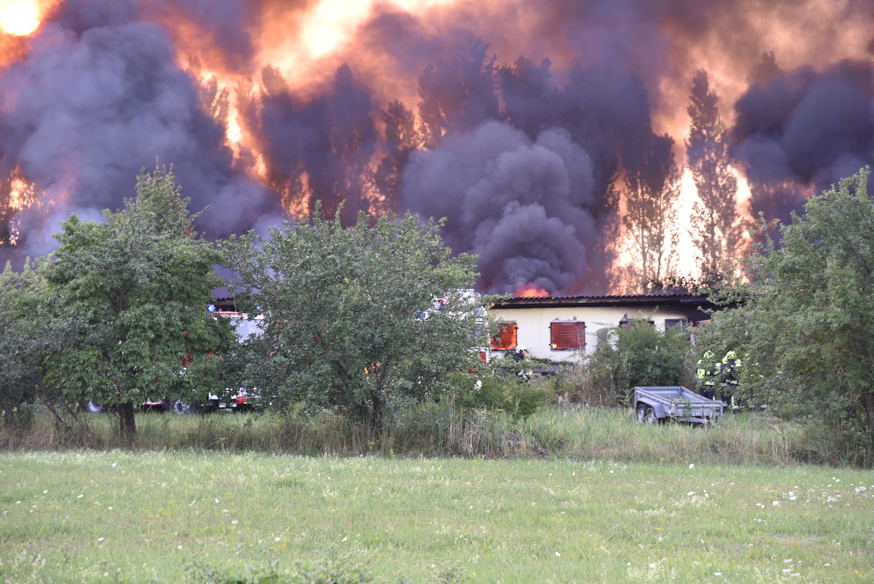 Flammenmeer in Kottingbrunn