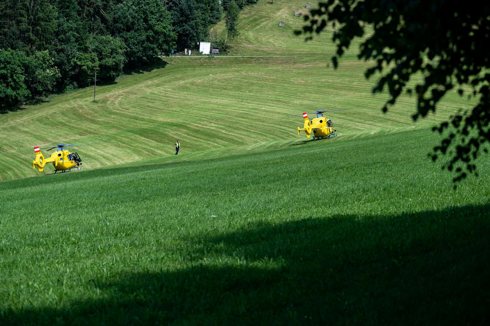Die Helikopter landeten auf einem Feld in der Nähe des Bauernhofes.