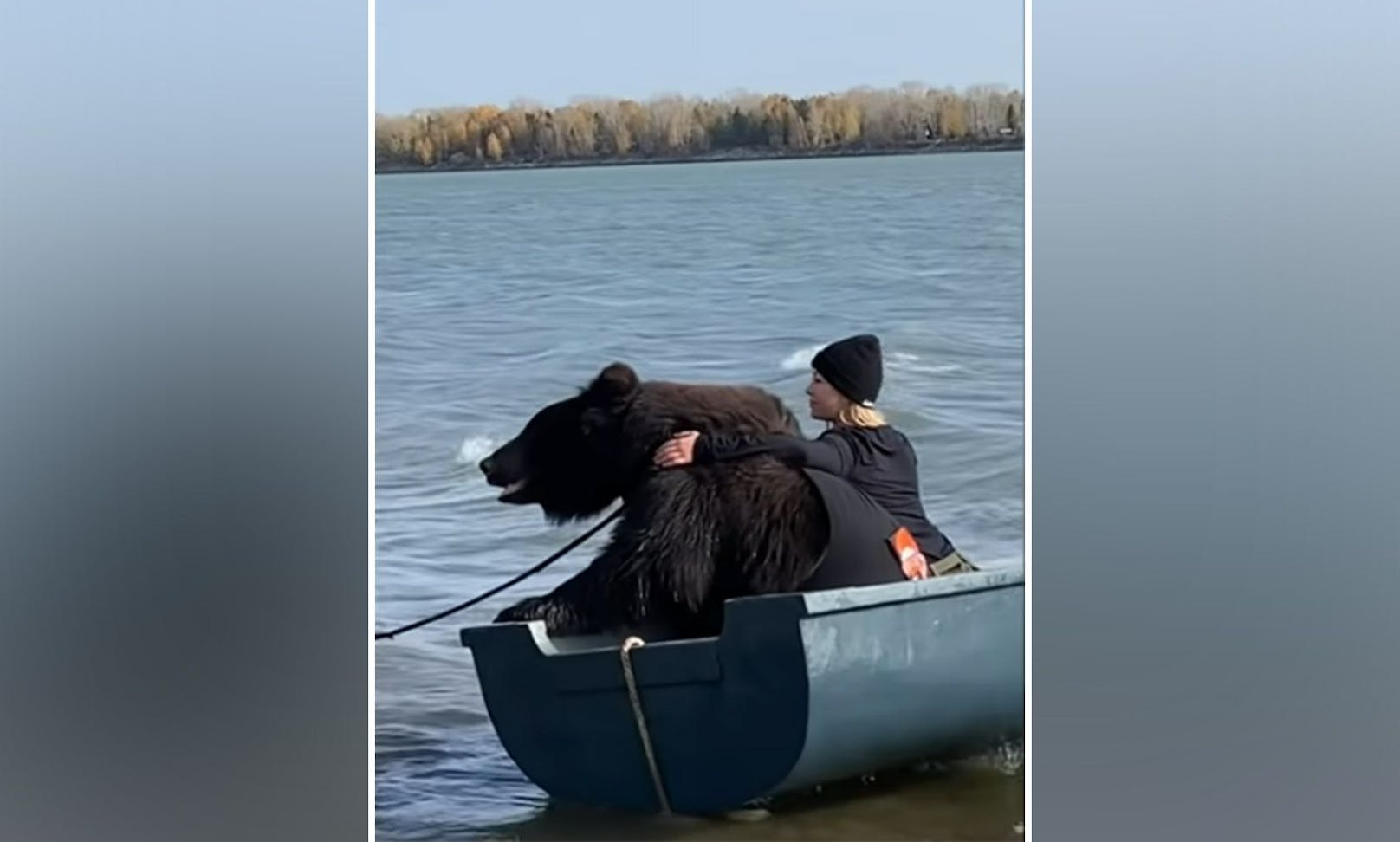 Der lebende "Teddybär" Archie und sein Frauchen Veronika Dichka verbringen gerne Zeit am Wasser. 