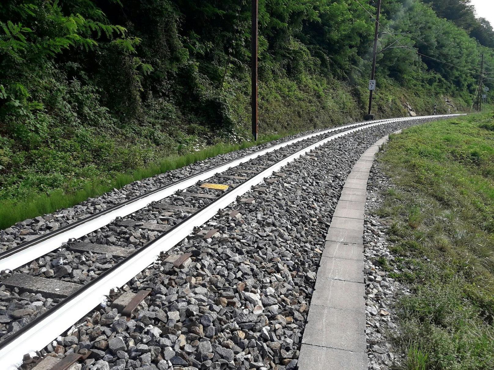 Auf Teilen der Strecke der Mariazellerbahn wurden die Schienen weiß lackiert.