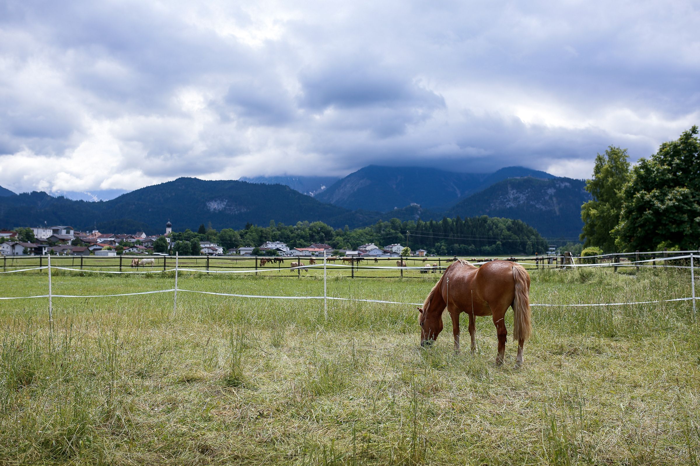 Die Weide der Pferdeklappe hat einen einmaligen Bergblick. 