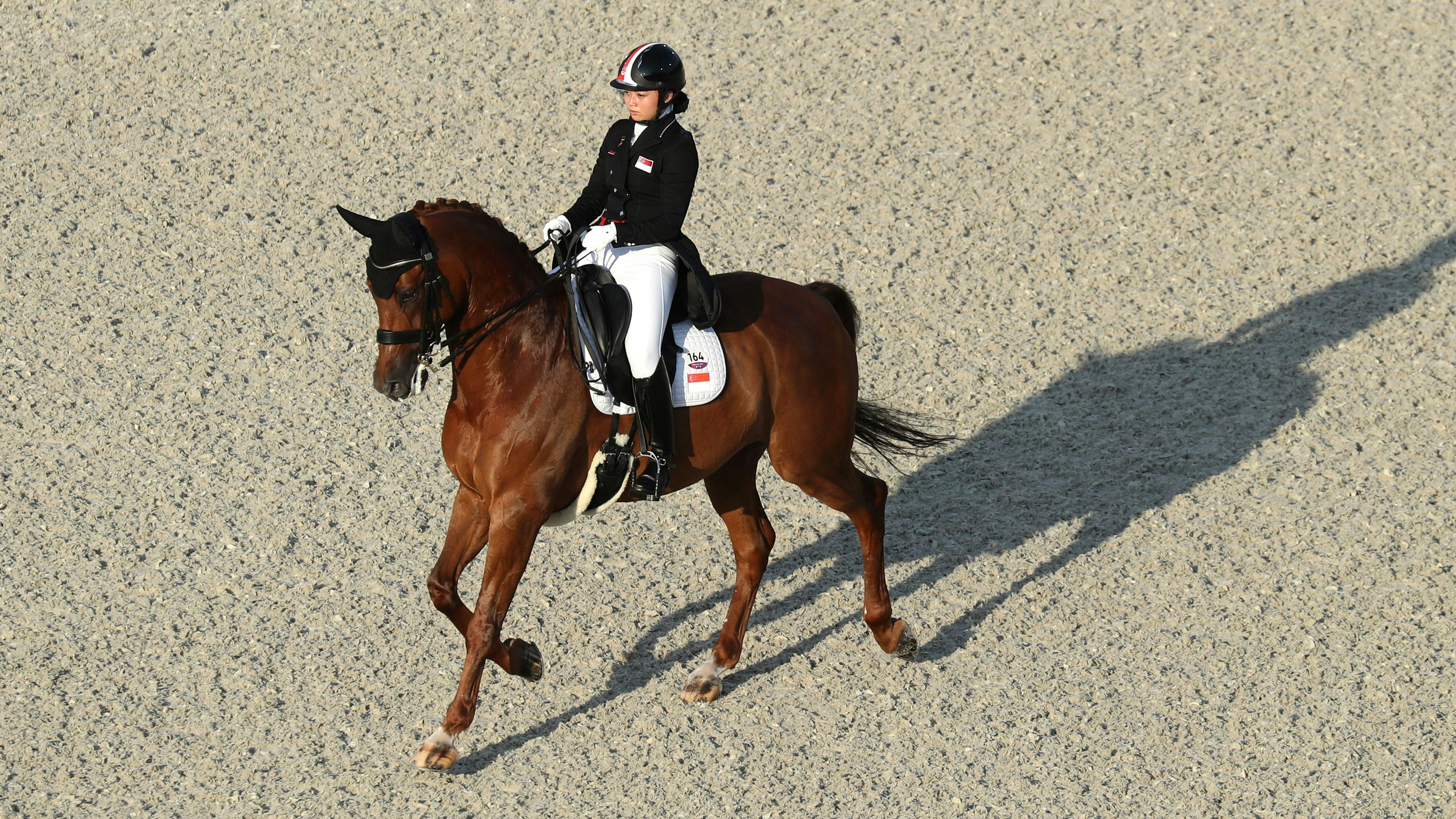 Der 17-jährige Wallach "Tribiani" präsentierte sich gut. 