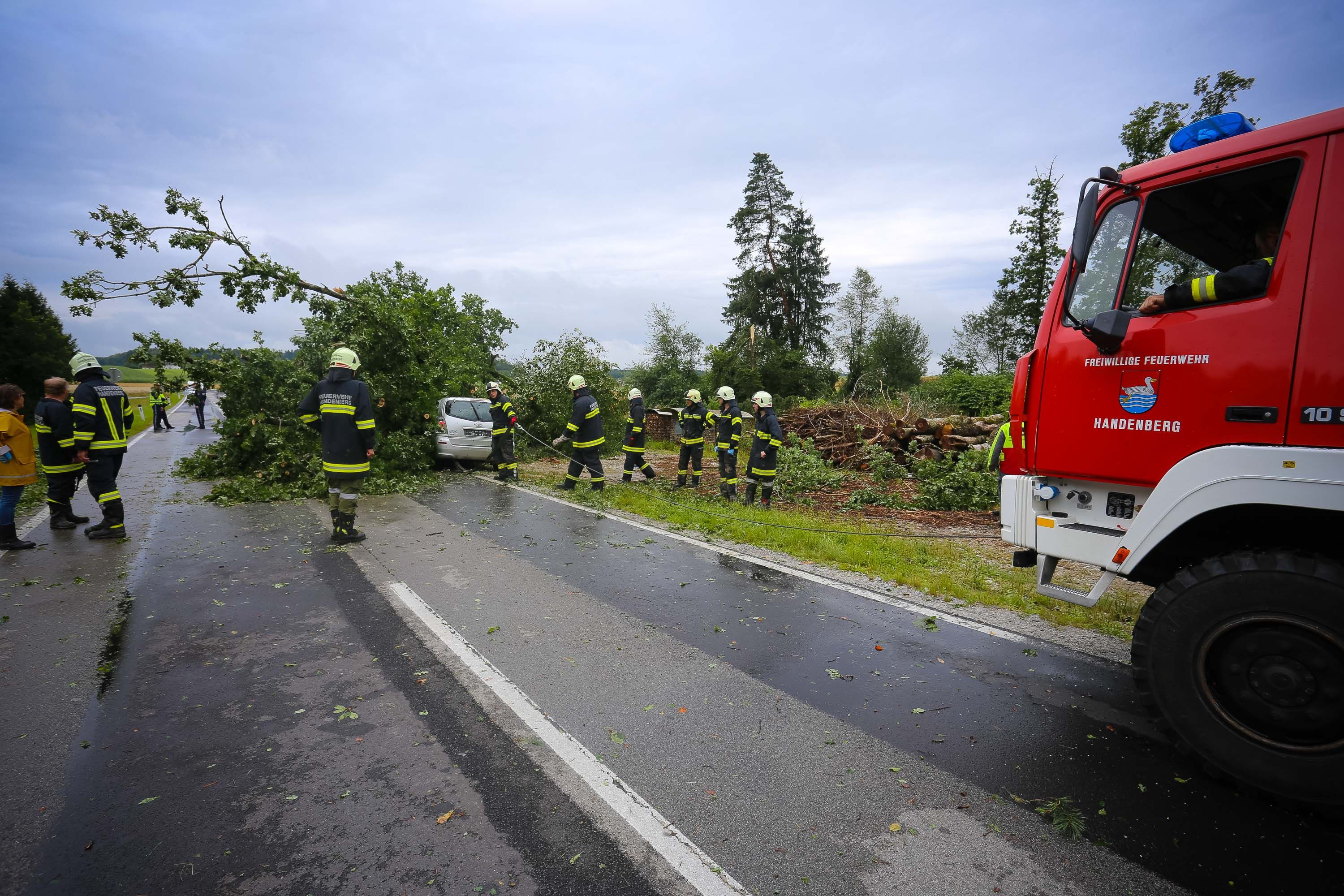 Der Baum fiel direkt auf das Auto.