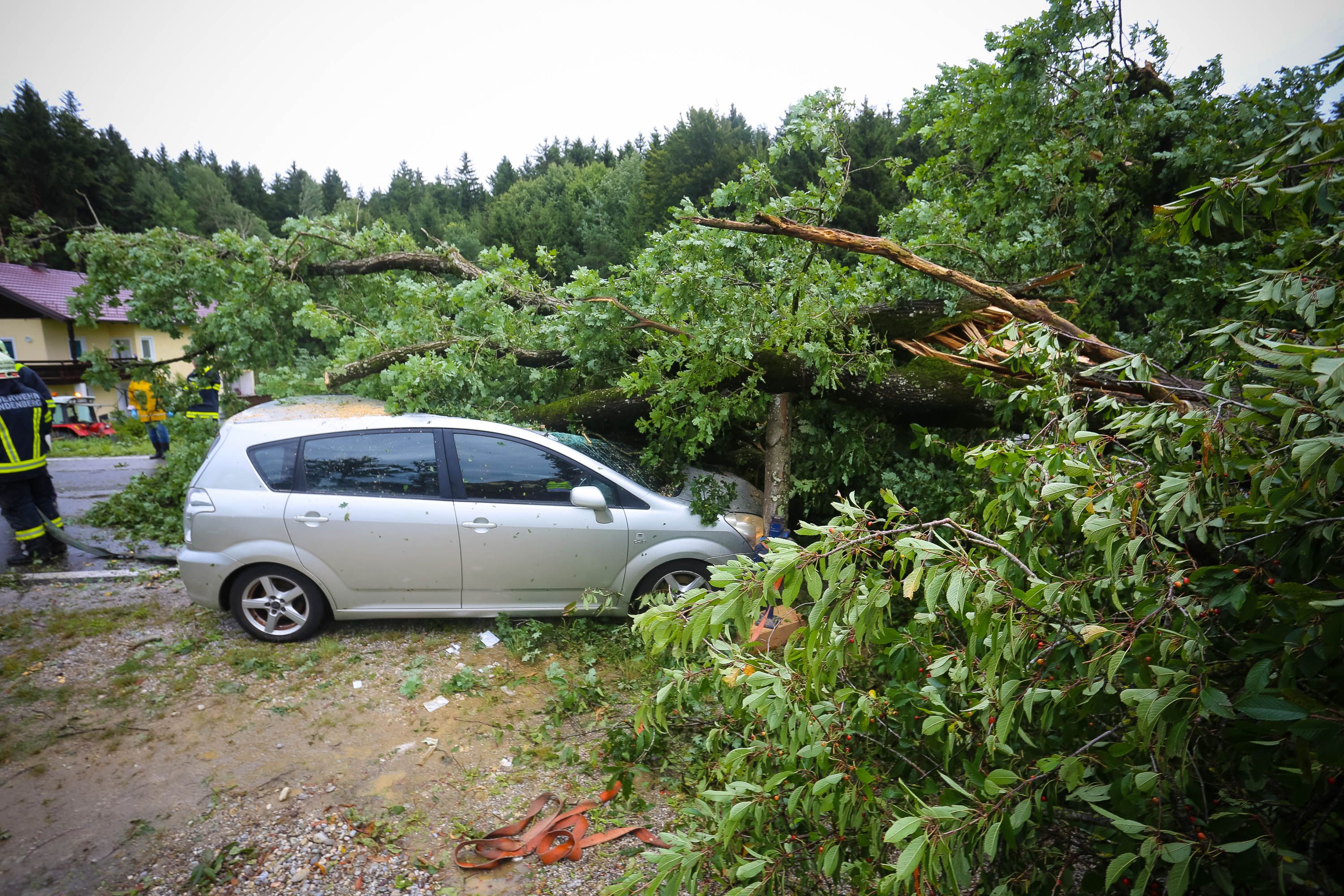 Die Frau saß im Auto, als der Baum auf sie fiel.