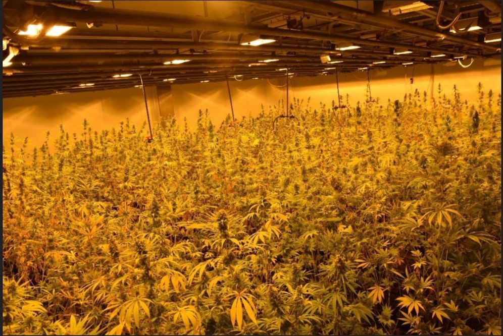 Die Beamten konnten das Drogennest ausheben und 24 Personen festnehmen.