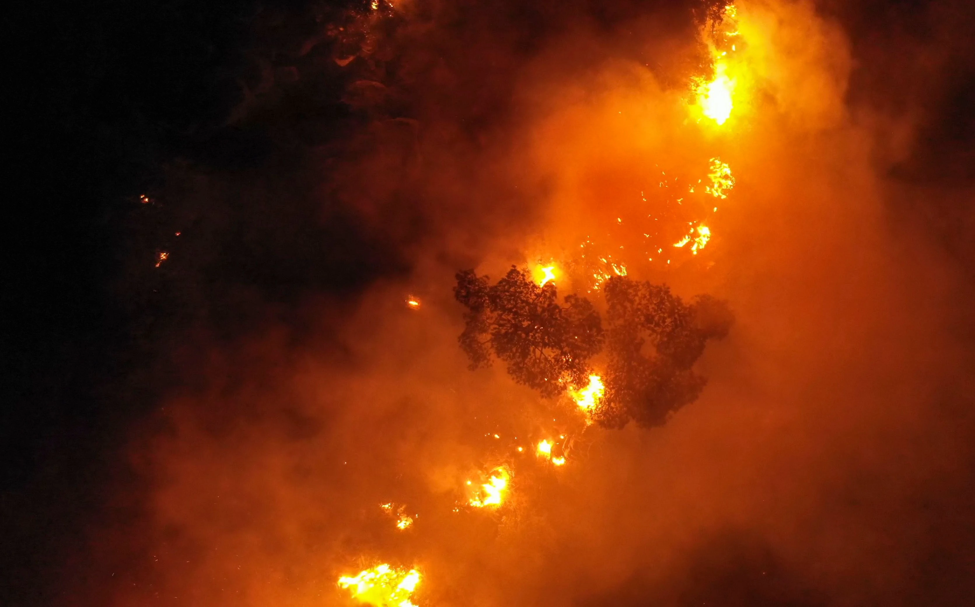 Download von www.picturedesk.com am 29.07.2021 (13:09).  An aerial picture shows flames engulfing trees as a forest fire rages in Lebanon's Ras El Metn area, on October 10, 2020. (Photo by - / AFP) - 20201010_PD6839 - Rechteinfo: Rights Managed (RM) Nur für redaktionelle Nutzung! Werbliche Nutzung erfordert Freigabe: bitte schicken Sie uns eine Anfrage.