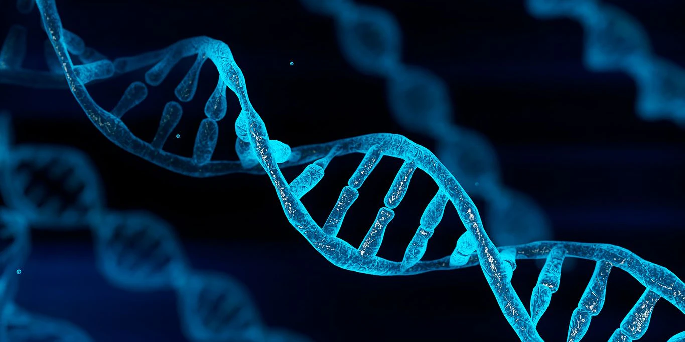 Diese Genmutation senkt dein Herzinfarkt-Risiko - Vimarsana News