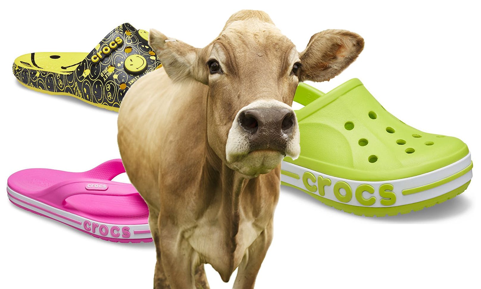 Schuh-Hersteller "Crocs" verzichtet künftig auf Leder in allen Designs.&nbsp;