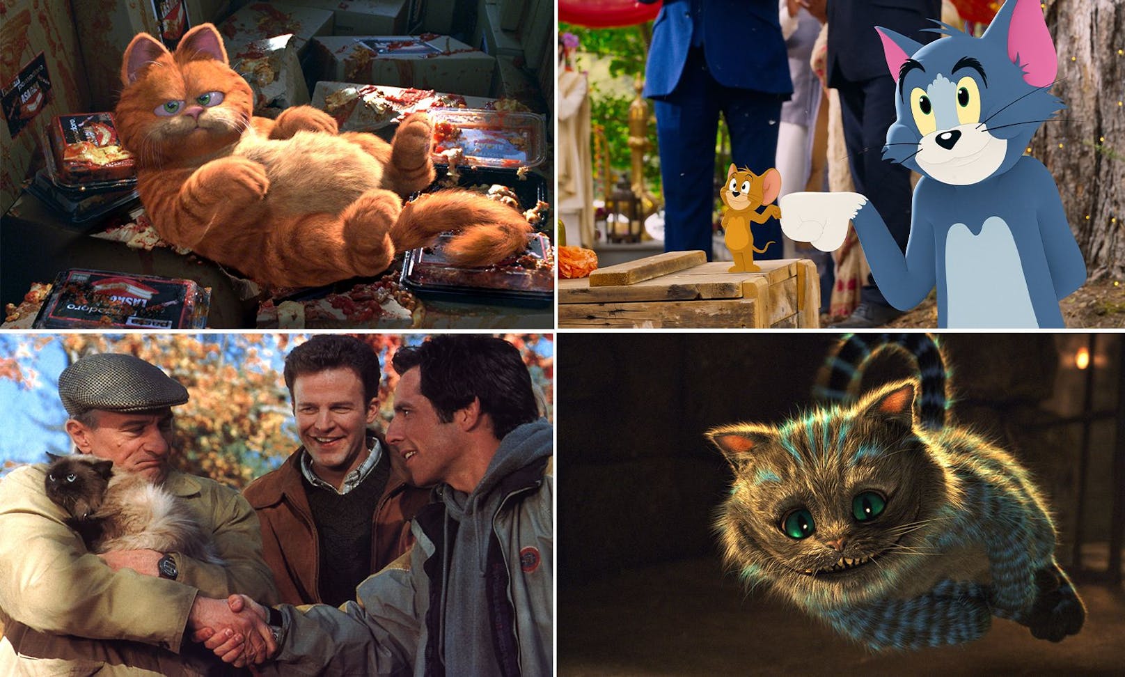 Wir haben die 10 bekanntesten TV- und Filmkatzen für euch zusammen gefasst. Wer ist euer Liebling? 