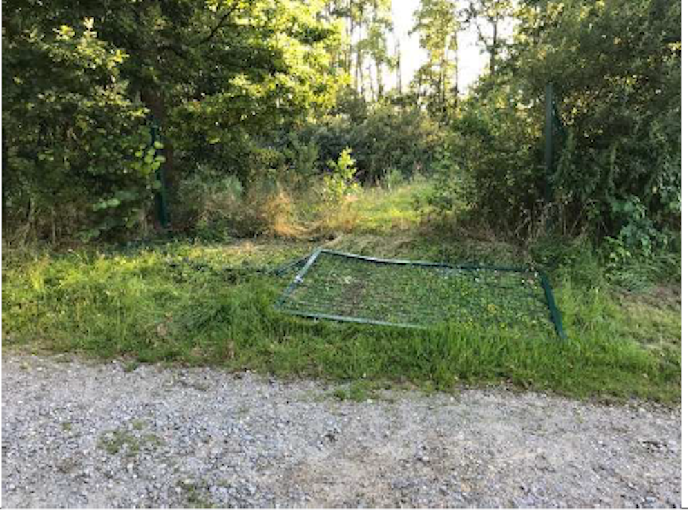 Der Unbekannte durchbrach das Tor zur Plantage.