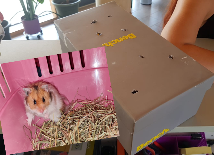 In diesem Schuhkarton wurde der Hamster ausgesetzt.