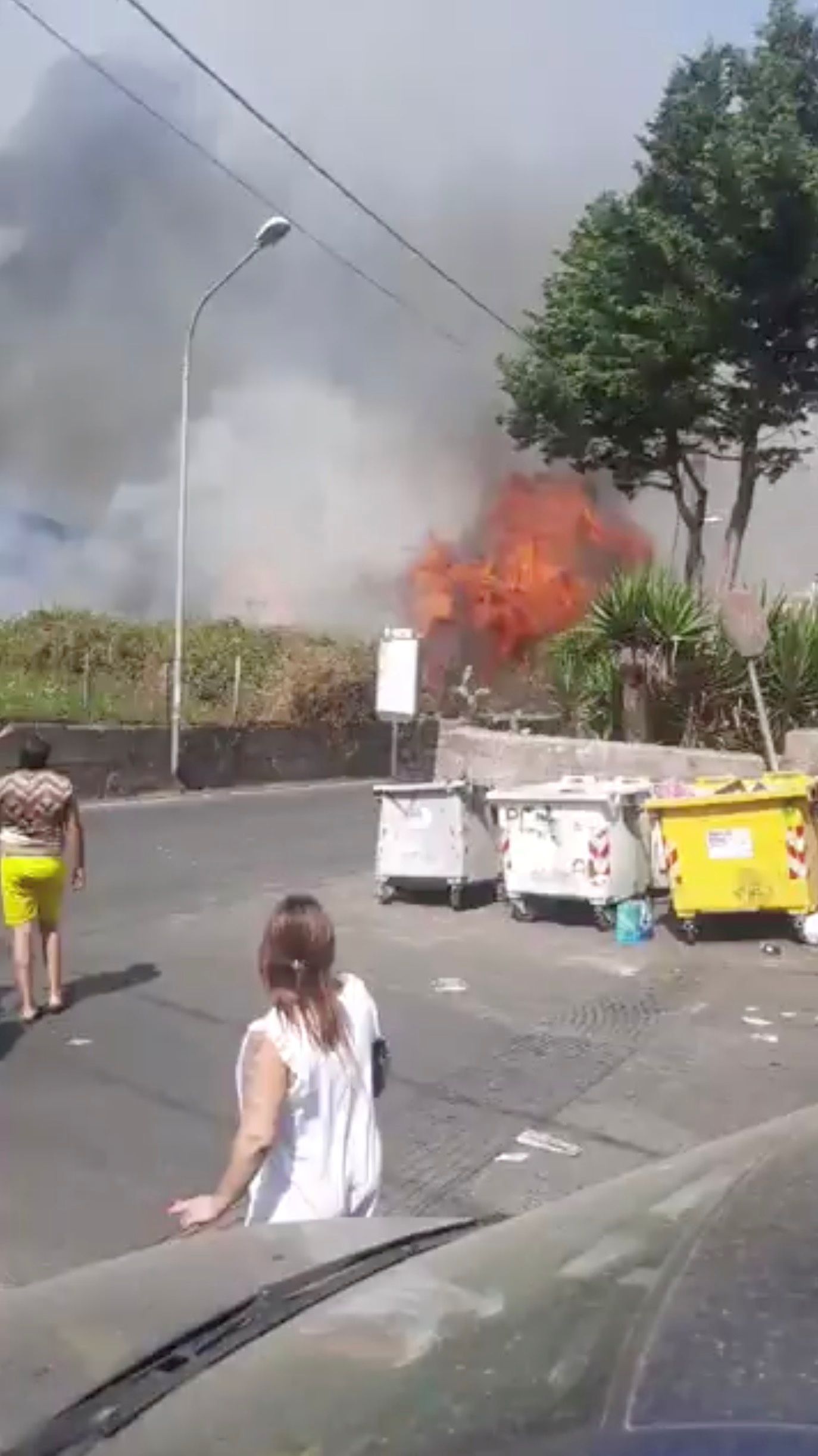 Auf Sizilien wurde mehr als ein Dutzend Brände vom heißen Wind noch zusätzlich angefacht. 