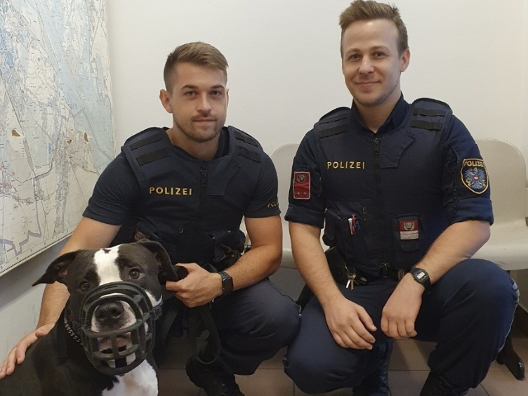 "Zeus" war stundenlang bei einer Kreuzung angebunden. Die beiden Polizisten retteten das winselnde Tier.