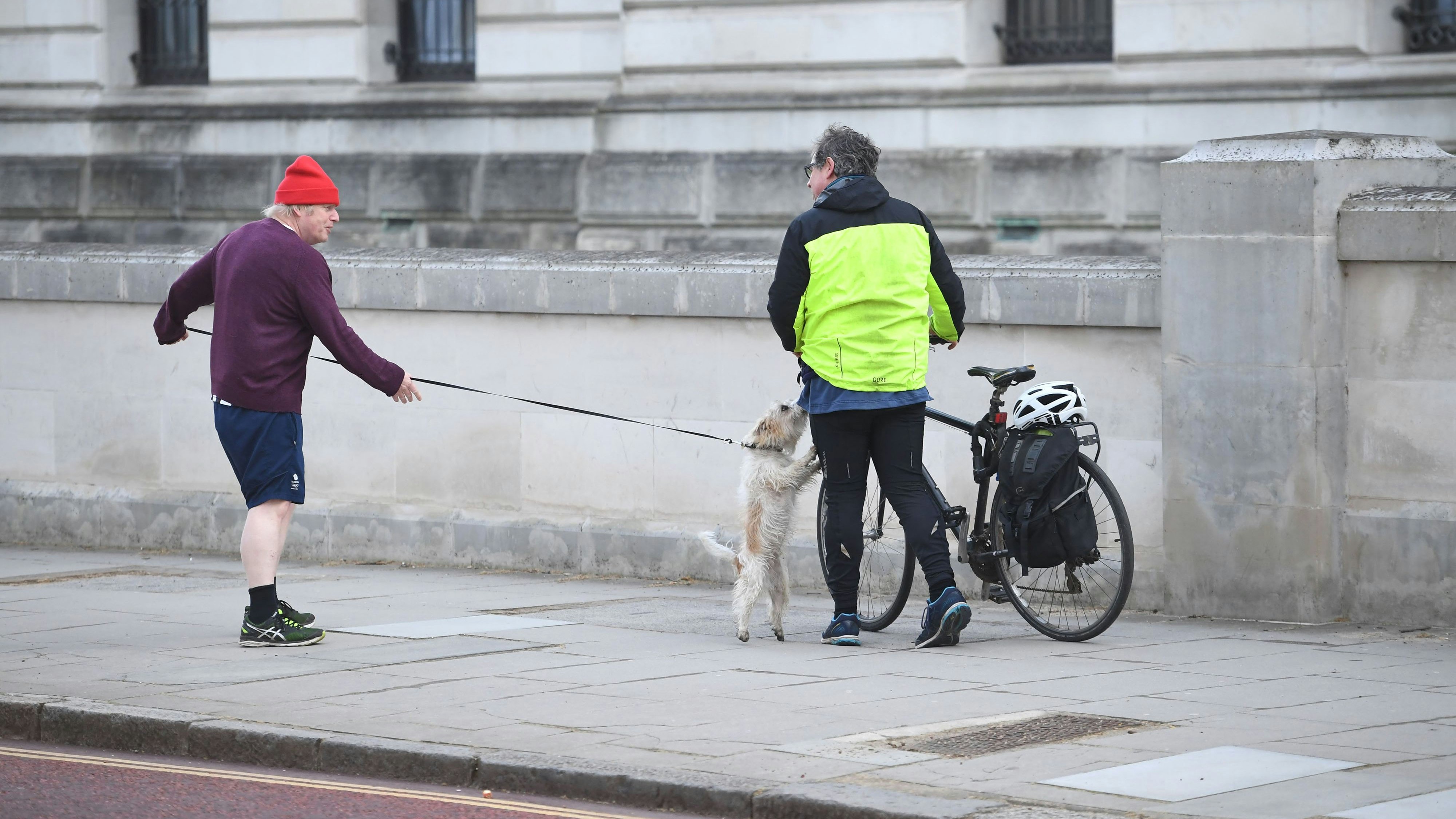 "Benimm dich!" - Boris Johnsons Rüde Dilyn schoss die Liebe ein... 