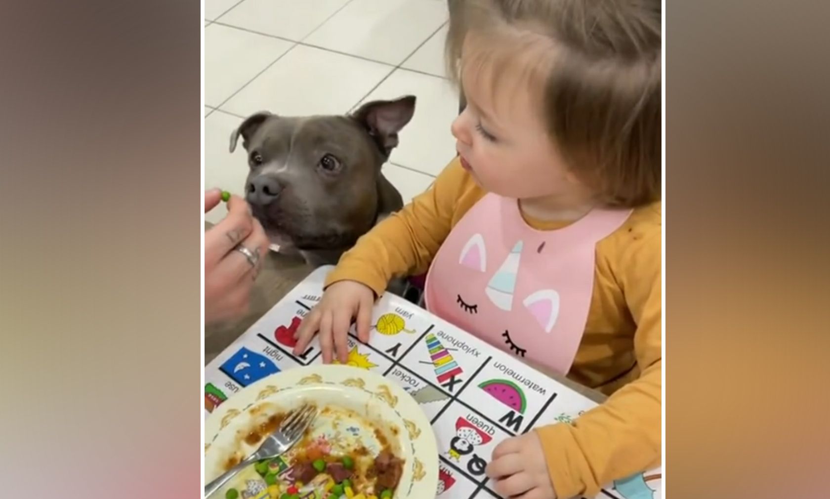 Hund "Brick" muss das Gemüse der kleinen Amiyah immer vorkosten. Sicher ist sicher. 