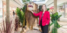 Löwen gehen bei "Huma Eleven" auf Shopping-Tour