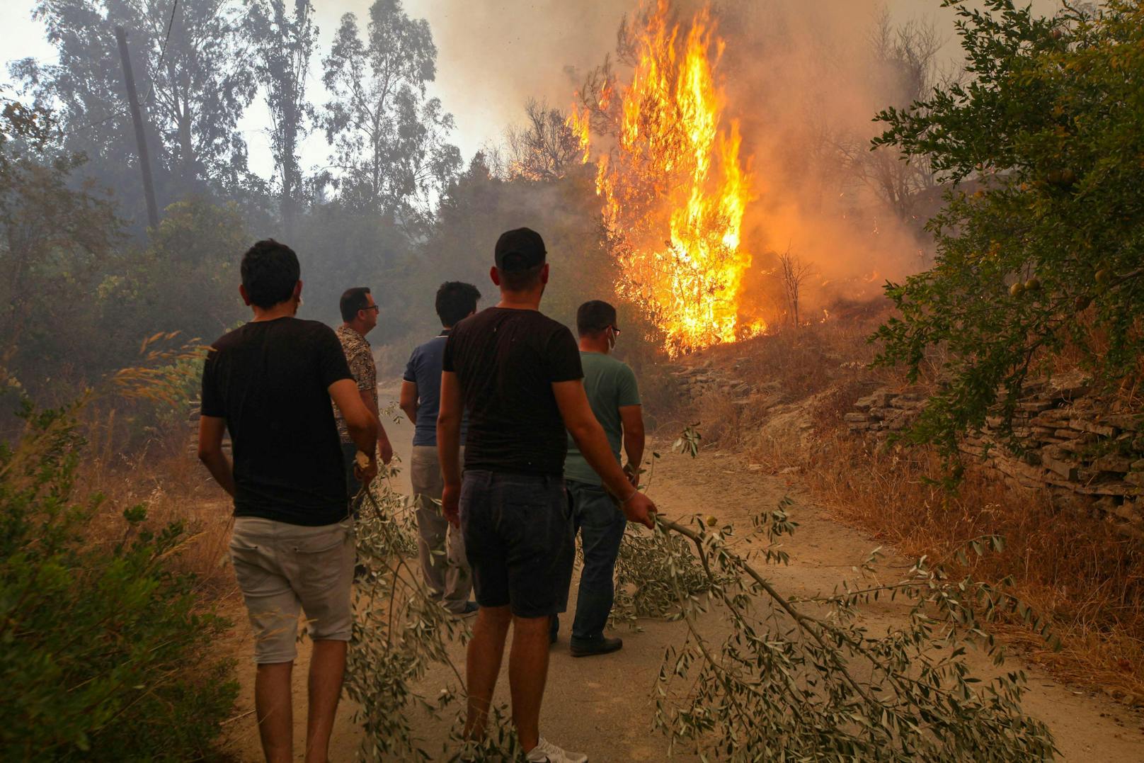 Die türkischen Behörden sprechen mittlerweile von mehr als 150 Waldbränden.