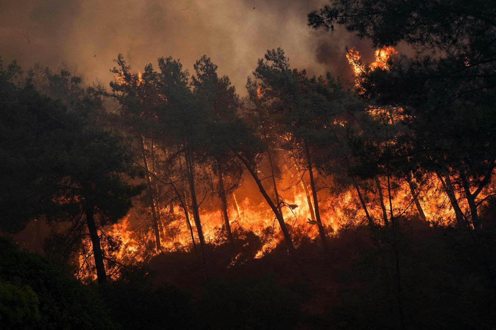 Waldbrand bei Marmaris: Auch dort kommen die Einsatzkräfte nicht zur Ruhe