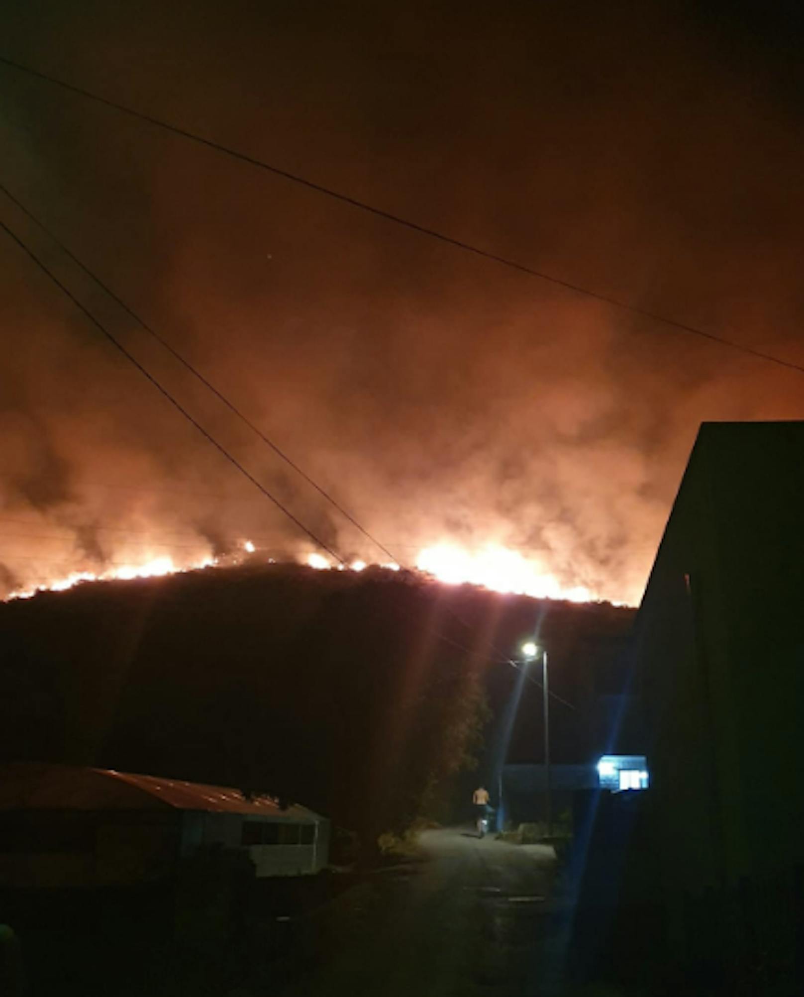 In Kroatien wüten Waldbrände.