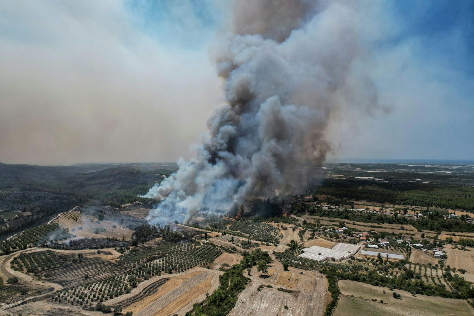 Mehr als 150 Waldbrände wüten in der Türkei.