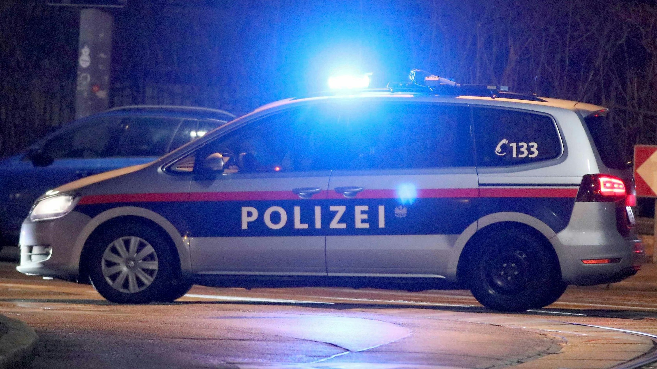 Die beiden Tatverdächtigen konnten festgenommen werden (Symbolbild).