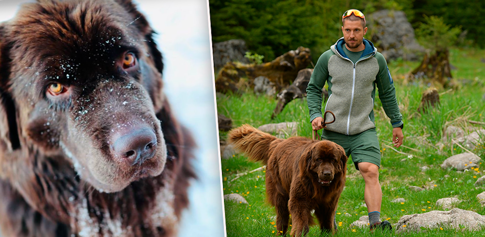 Marcel Hirscher mit Hund Pumba