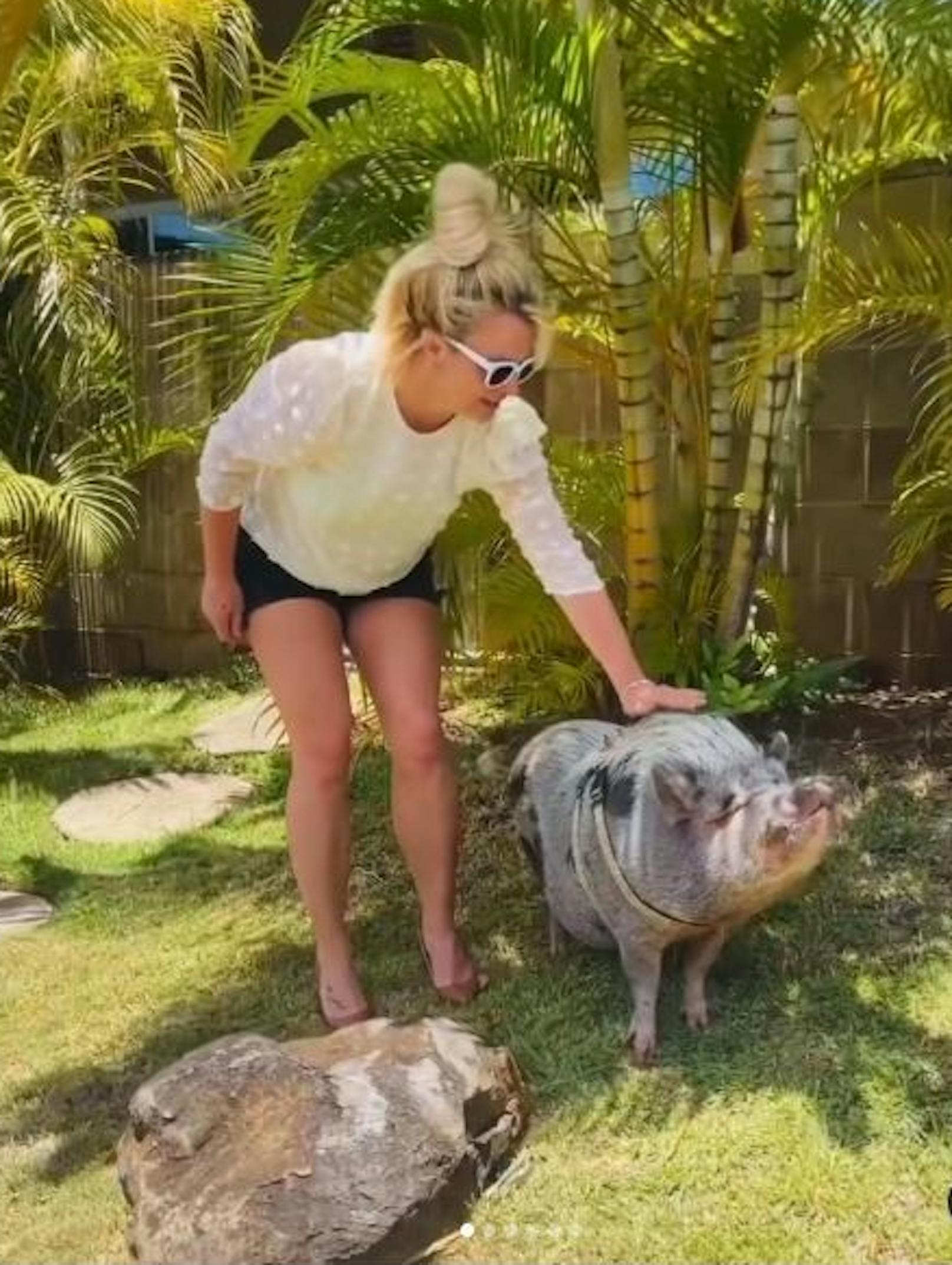 Popstar Britney Spears hat einen neuen Freund gefunden: Ein kleines Wildschwein. Süß!