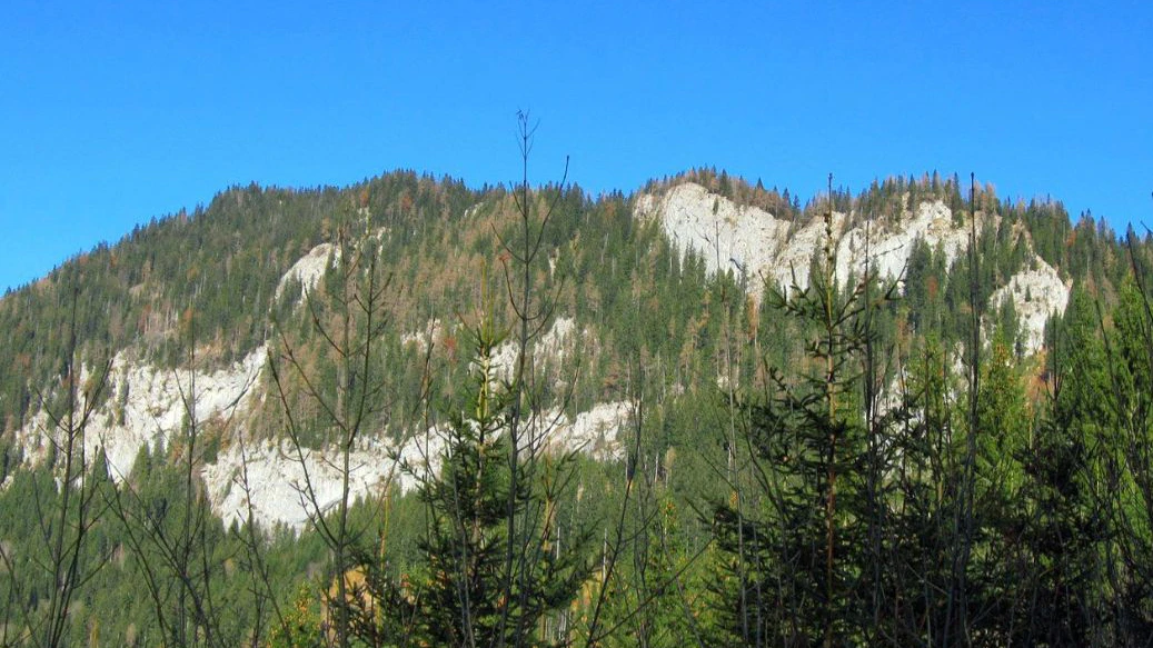 Die "Sauwand" im Bezirk Bruck/Mürzzuschlag