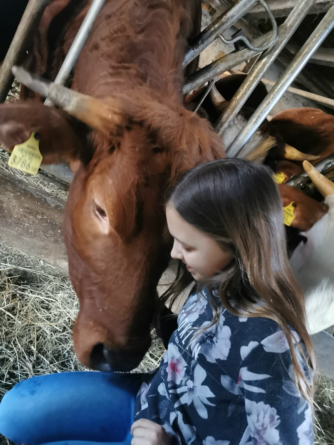 Sosanna will ihren tierischen Freund retten.