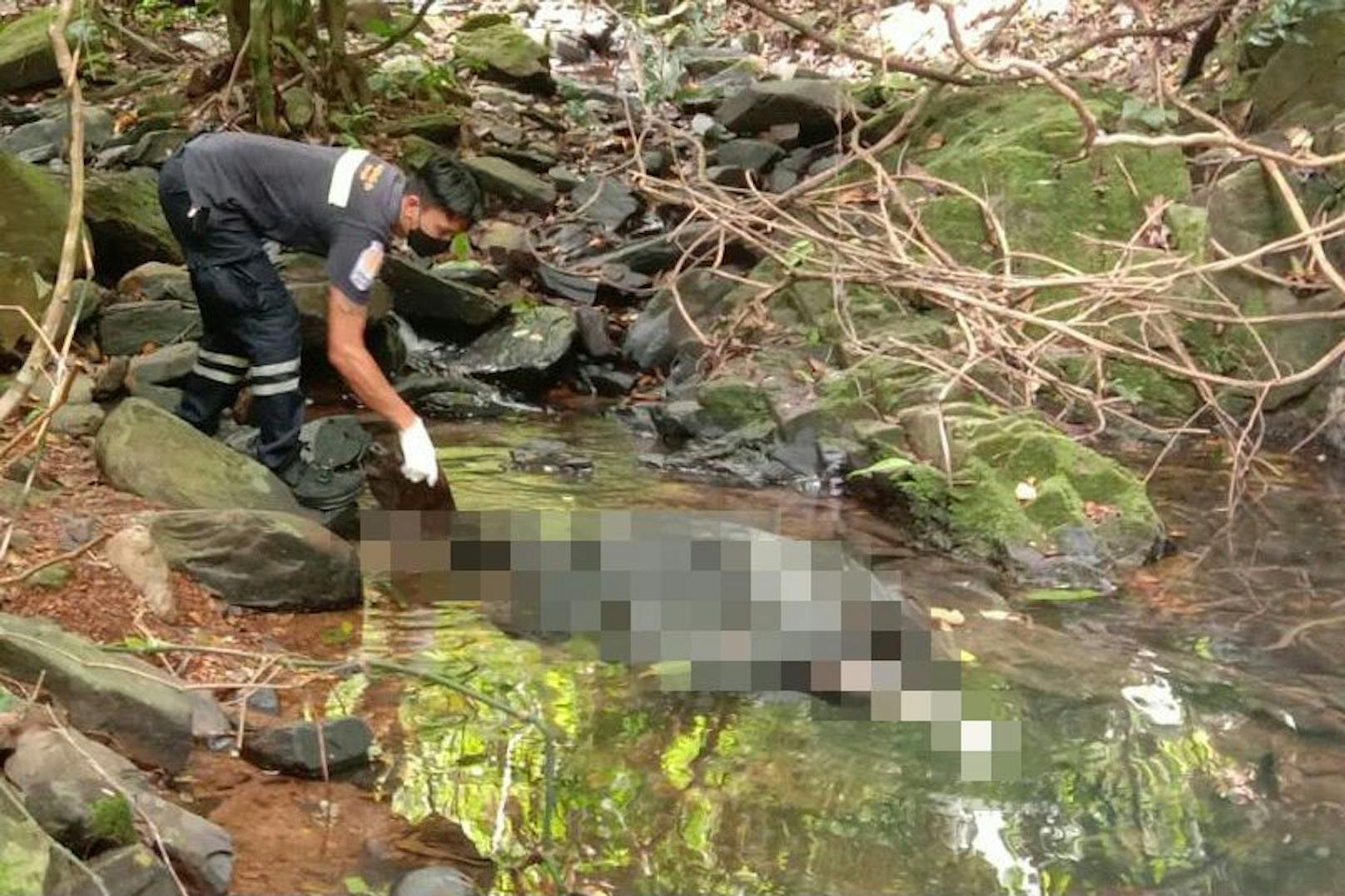 So wurde die Leiche der Frau nahe dem Wasserfall gefunden.