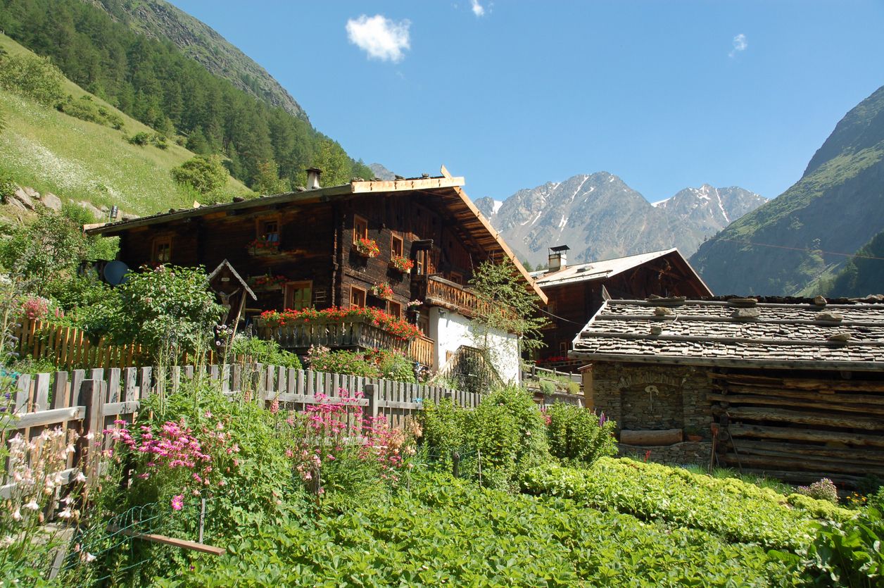 Die Wienerin tauchte nicht auf der Almhütte im Bezirk Murau auf.