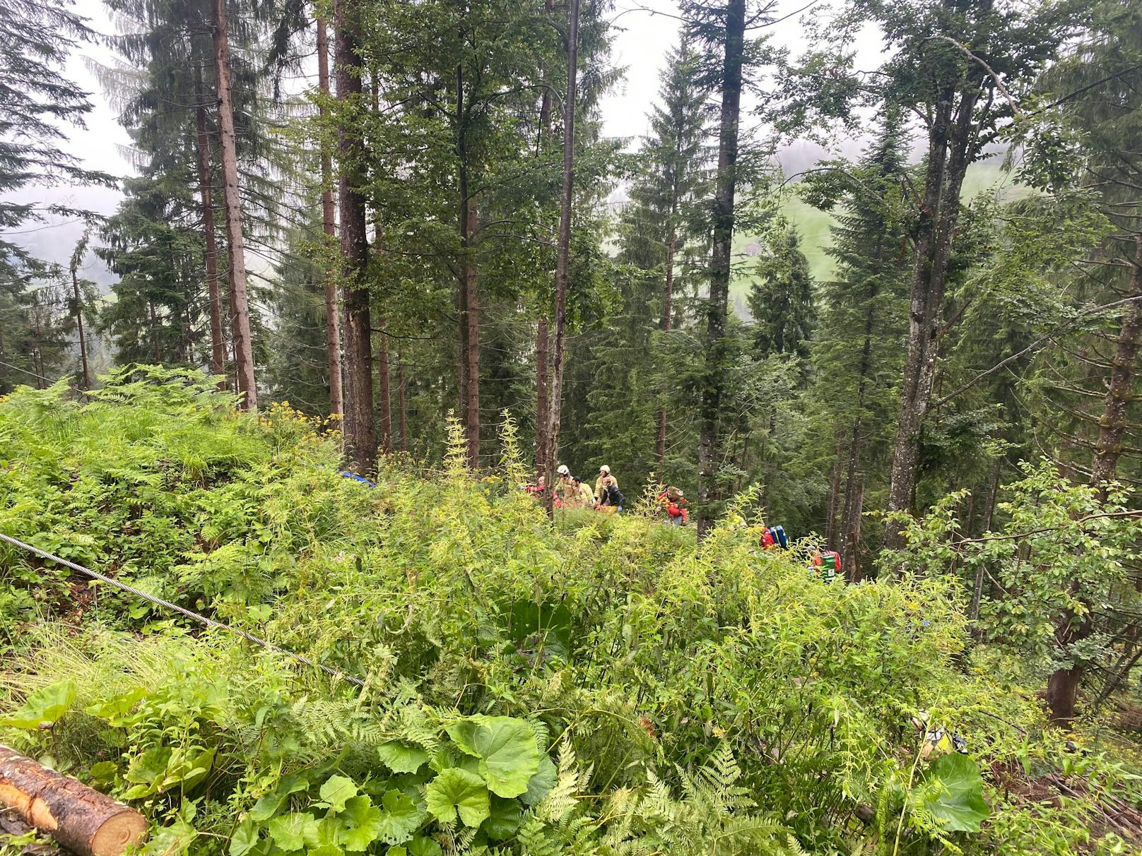 Schwerer Forstunfall in Hochfilzen: Vor den Augen seines Vaters wurde ein 26-Jähriger unter einem Baum begraben.