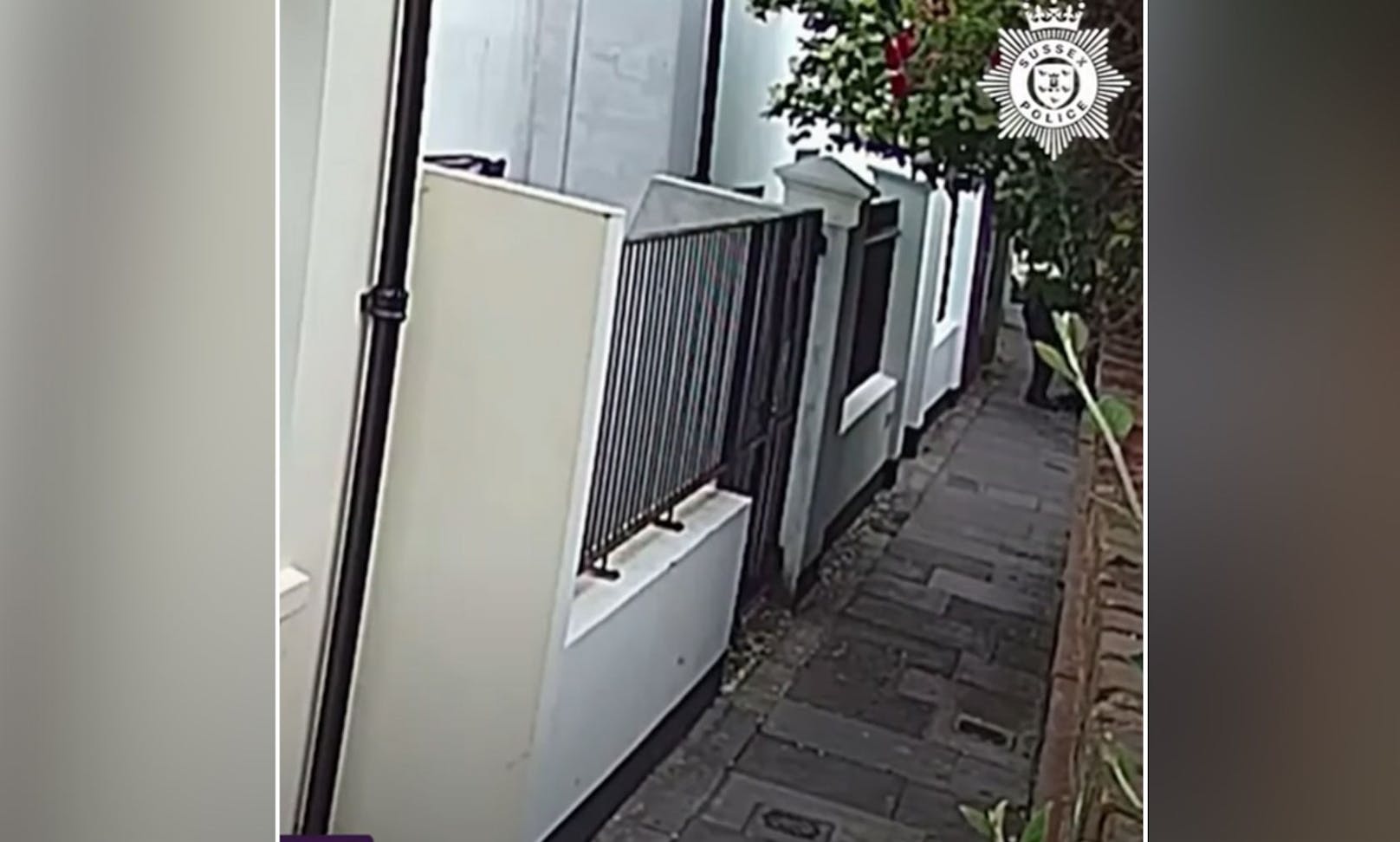 Dieses Video einer Überwachungskamera überführte schließlich&nbsp;Screenshot den Briten Steve Bouquet als den Katzenkiller.&nbsp;