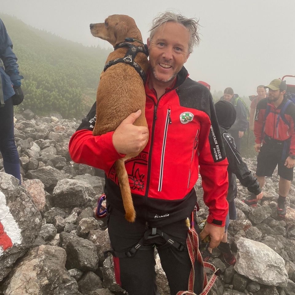 Die Bergrettung musste eine Familie mit ihrem Hund retten.