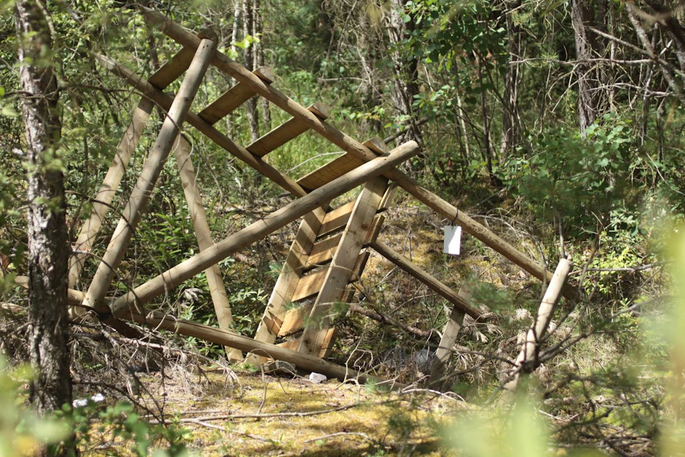 Der Hochsitz stürzte mehrere Meter in die Tiefe – das Ehepaar wurde verletzt.