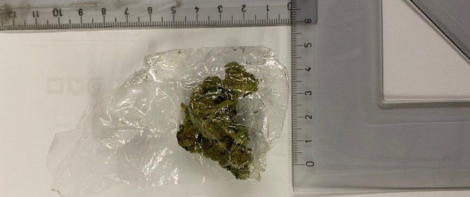 Im Zuge der Durchsuchung des 24-Jährigen stellten die Beamten eine kleine Menge Cannabis sicher.