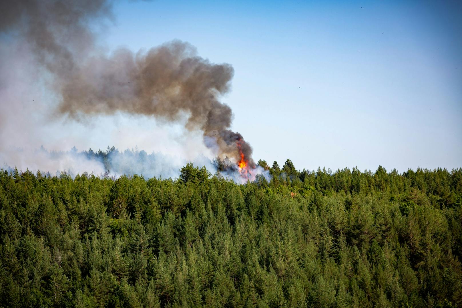 NÖ Feuerwehr im Einsatz in Nordmazedonien