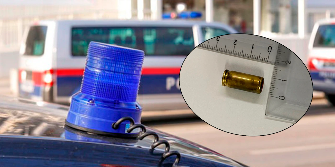 Mit Gaspistole geschossen: 24-Jähriger festgenommen - Vimarsana News
