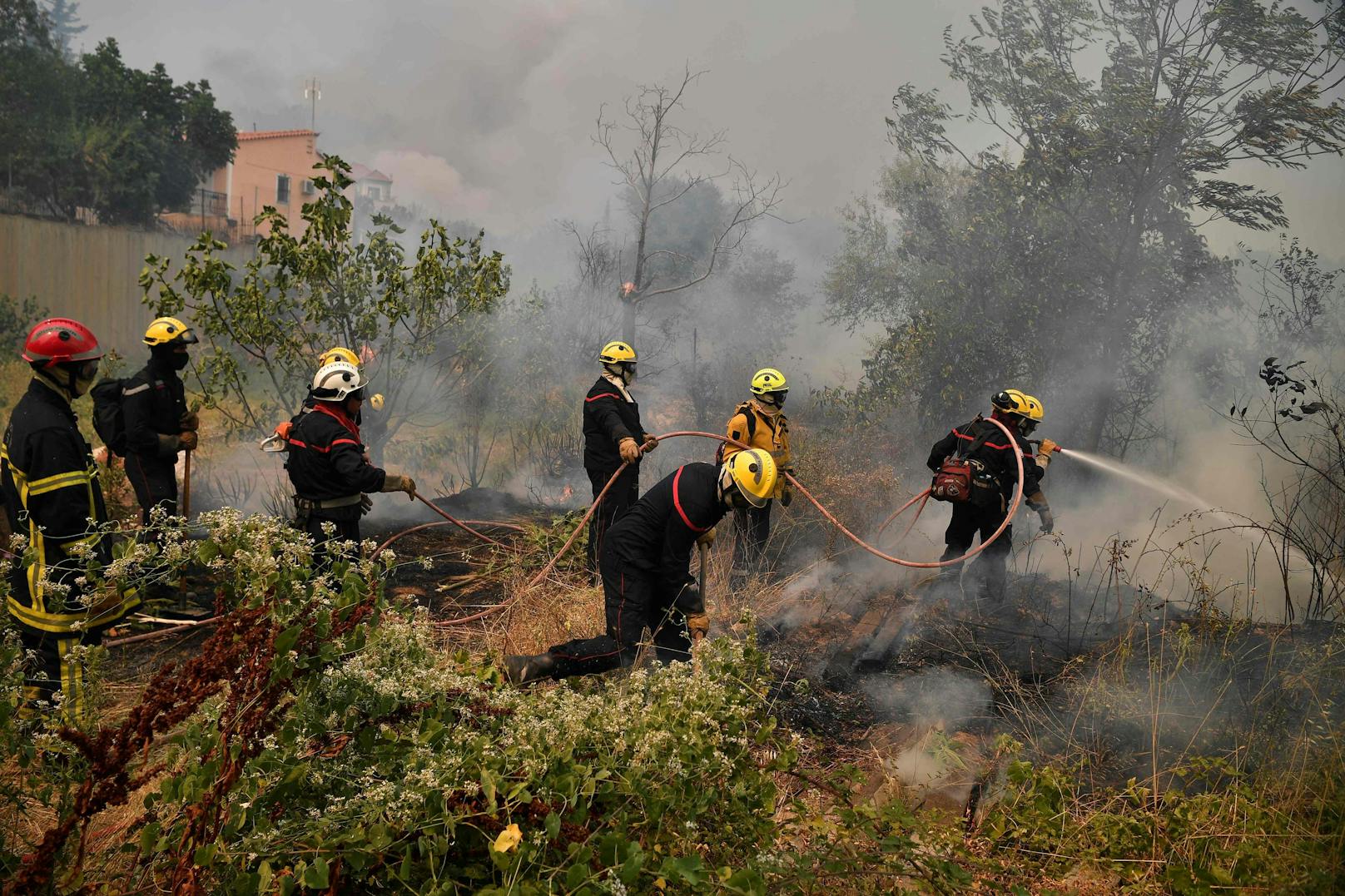 Die verheerenden Waldbrände wüten in Südeuropa unvermindert weiter. Laut Prognosen wird sich das Klima auch in Österreich so weit erhitzt haben, dass auch hierzulande die Gefahr steigt. Die Stadt Wien bereitet sich mit konkreten Vorbereitungsplänen darauf vor.