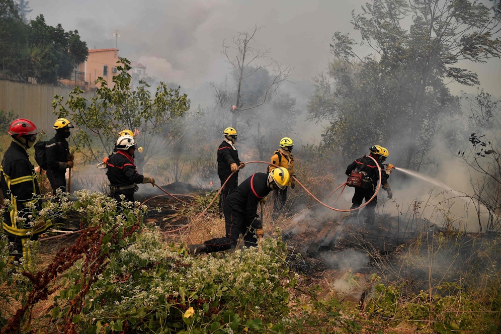 Die verheerenden Waldbrände wüten in Südeuropa unvermindert weiter. Laut Prognosen wird sich das Klima auch in Österreich so weit erhitzt haben, dass auch hierzulande die Gefahr steigt. Die Stadt Wien bereitet sich mit konkreten Vorbereitungsplänen darauf vor.